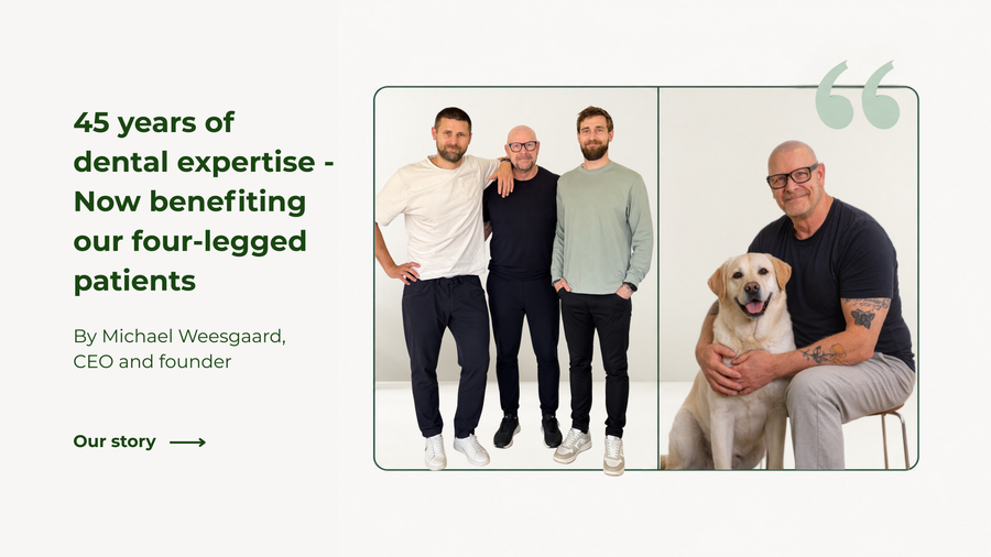 45 years of dental expertise - now benefiting our four-legged patients
