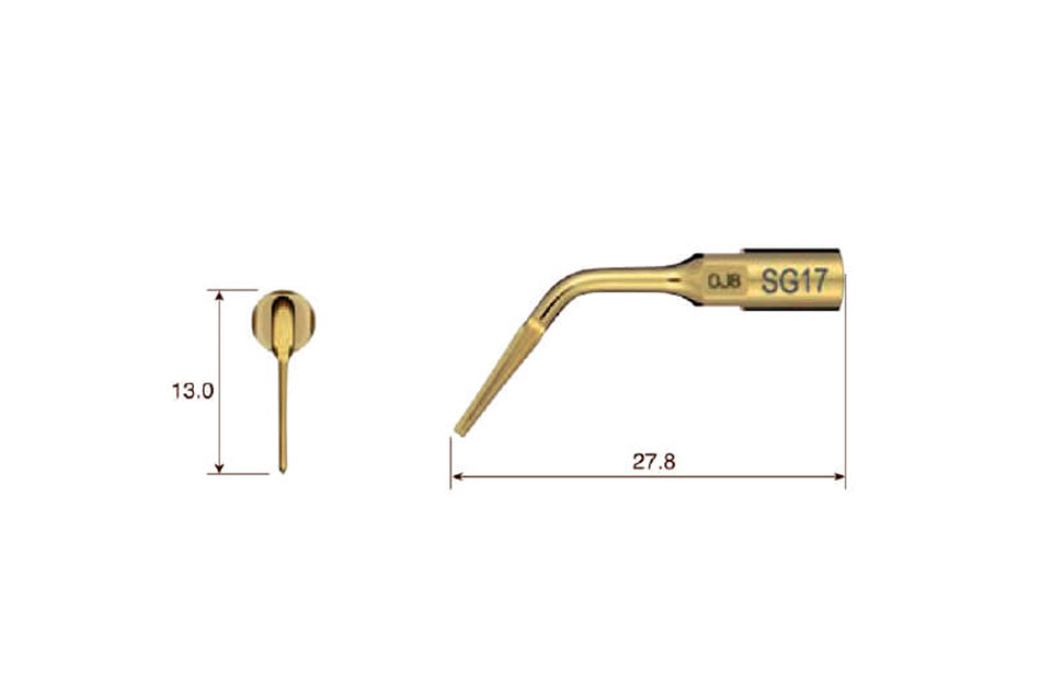 Extraktion SG17